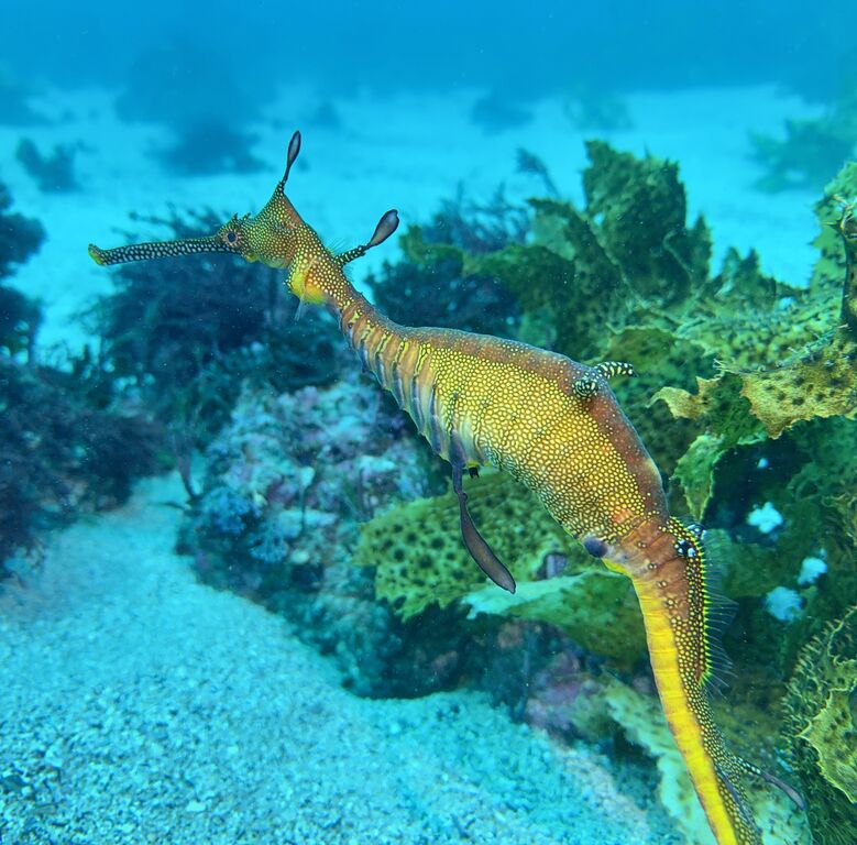 872b1e29-ebfa-4a70-963d-74faaad2f890