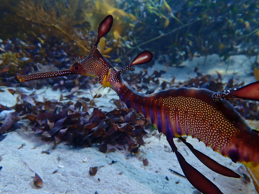 cad05182-263f-478d-95b1-f69bd9ae3754