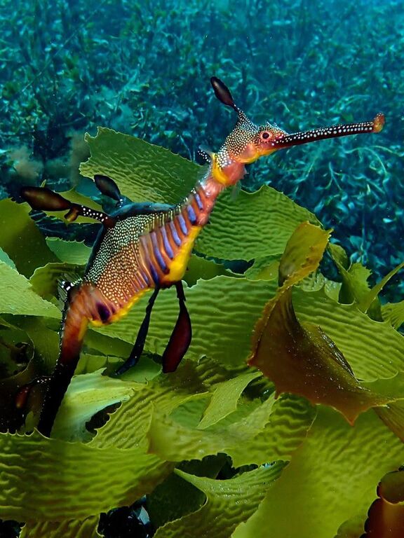 908ed035-d84f-4941-824e-bd9218658880