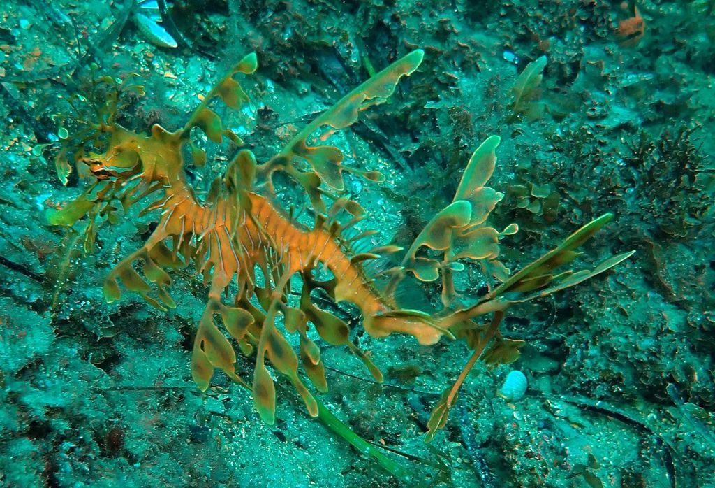 1652ac47-925b-4ae5-8ee8-aefcb7da9bf5