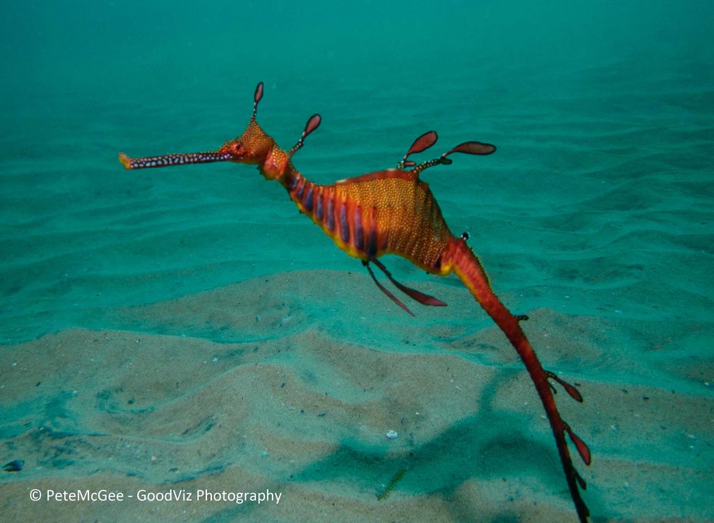 984d9dd7-869c-46ce-a81a-109184f48d83