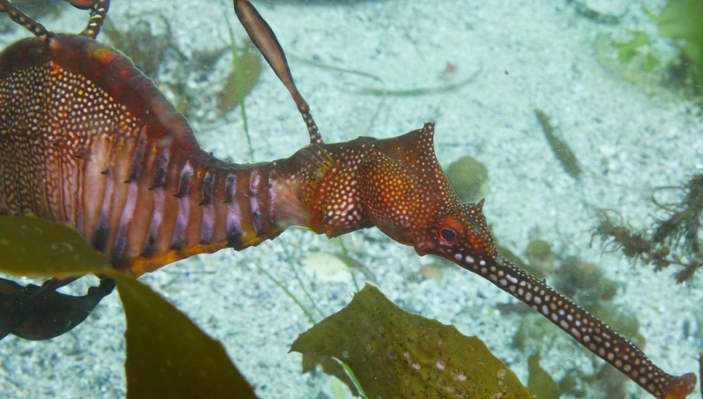 9b2f099c-cd55-4c74-a7a2-6e74a8b3c263