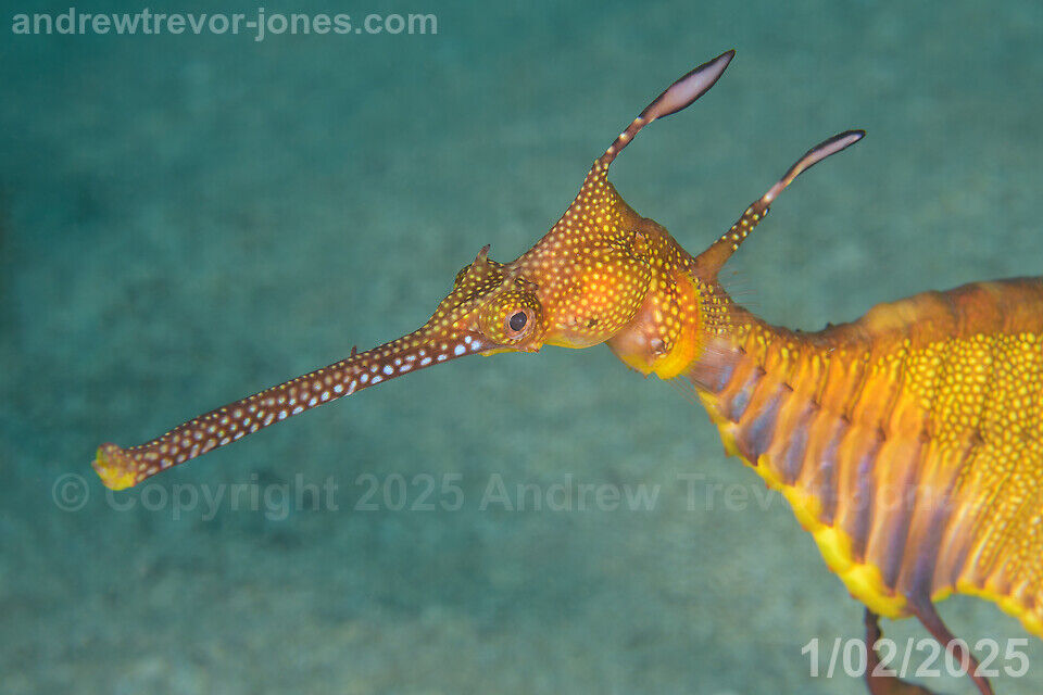 d79fd72c-6e12-4a20-942d-bacbb0c97cee