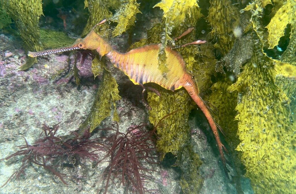 c5ac0275-c6de-4cc2-a9c9-861afe33c75e