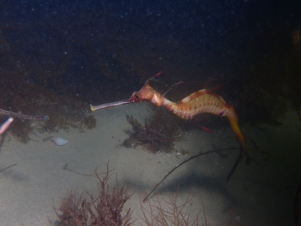 720716cc-e1e0-4e8e-b44f-a9ad1479aff8