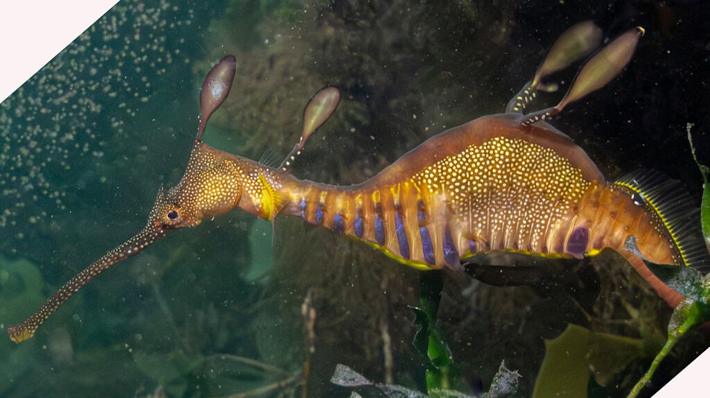 f4ac1124-b06e-4380-99c9-dc9ef7773b77