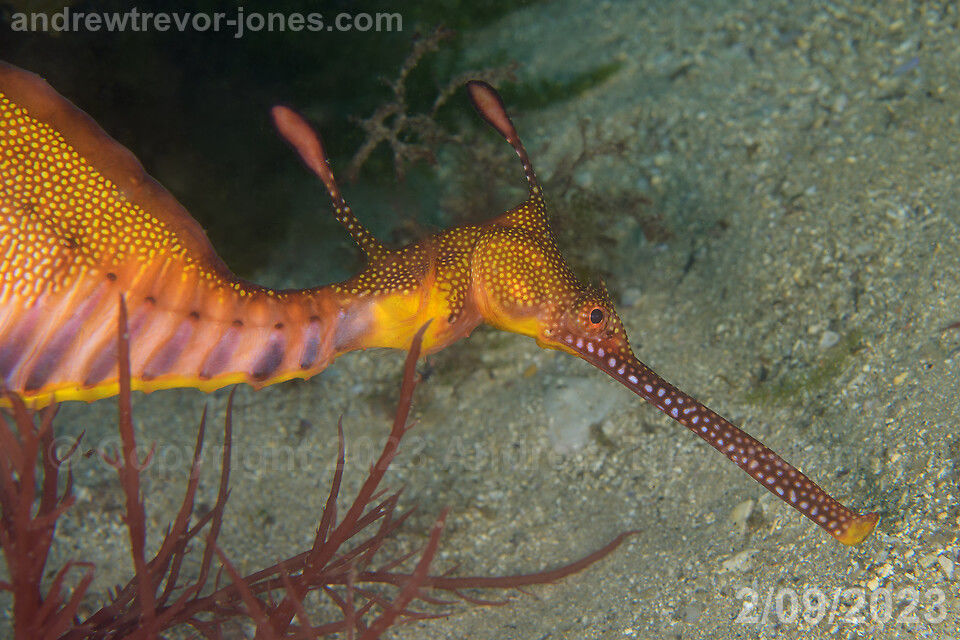 669125cb-42e5-4935-90f4-45e3039ec8a7