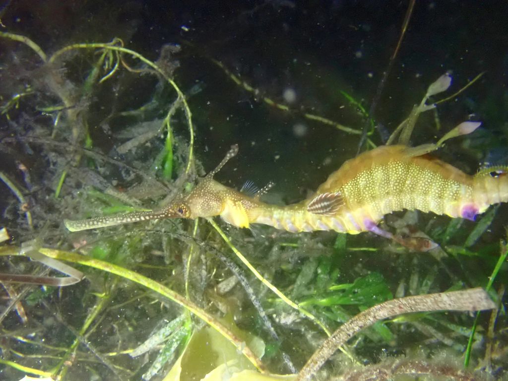 2a5890b0-f787-4df1-b4a0-99a27426d05e