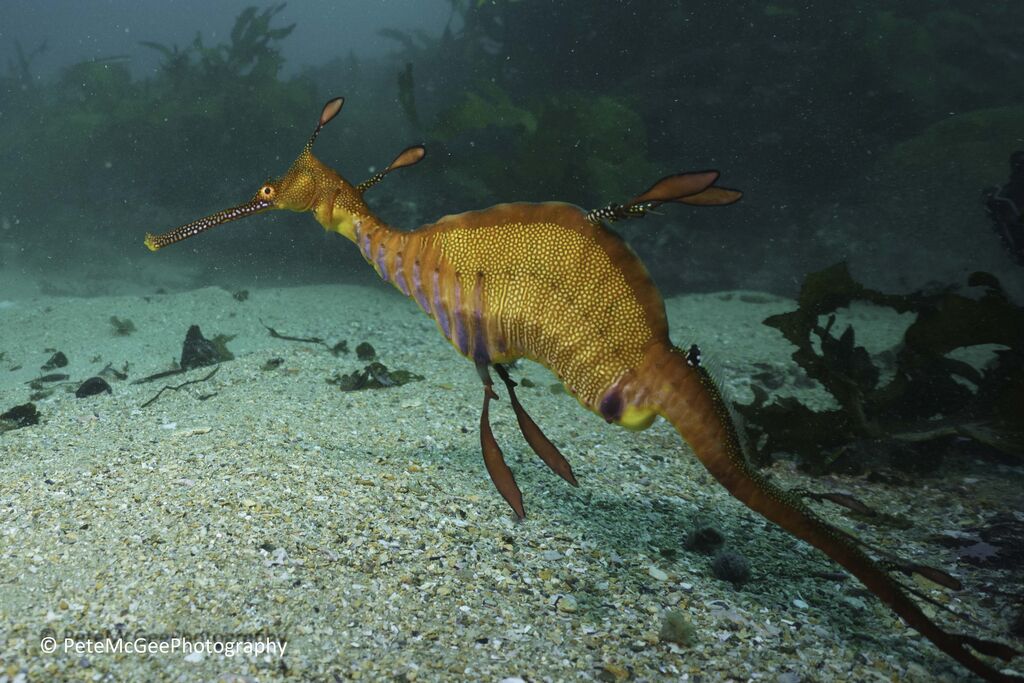 8360d52e-e51a-47f9-8402-177ee4a1defc