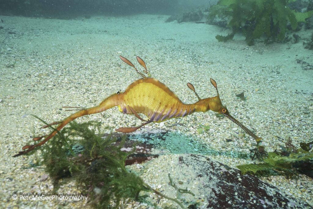 8360d52e-e51a-47f9-8402-177ee4a1defc