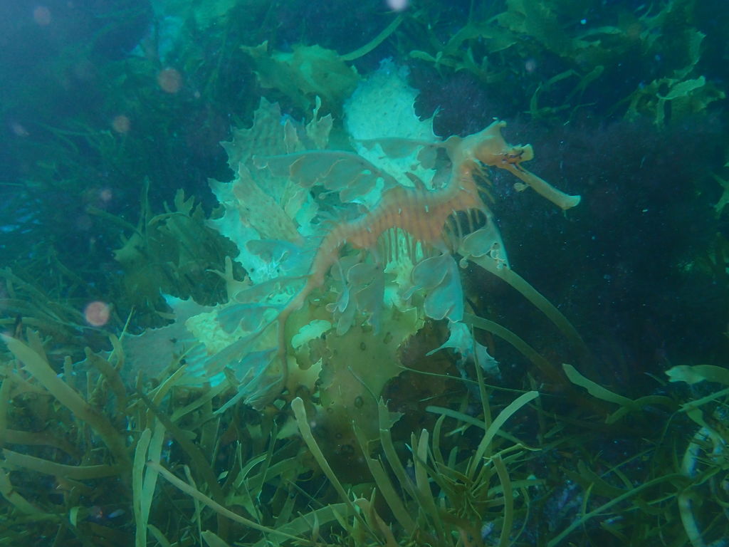 3fd6dfef-b75f-4d4f-bf22-357336471335