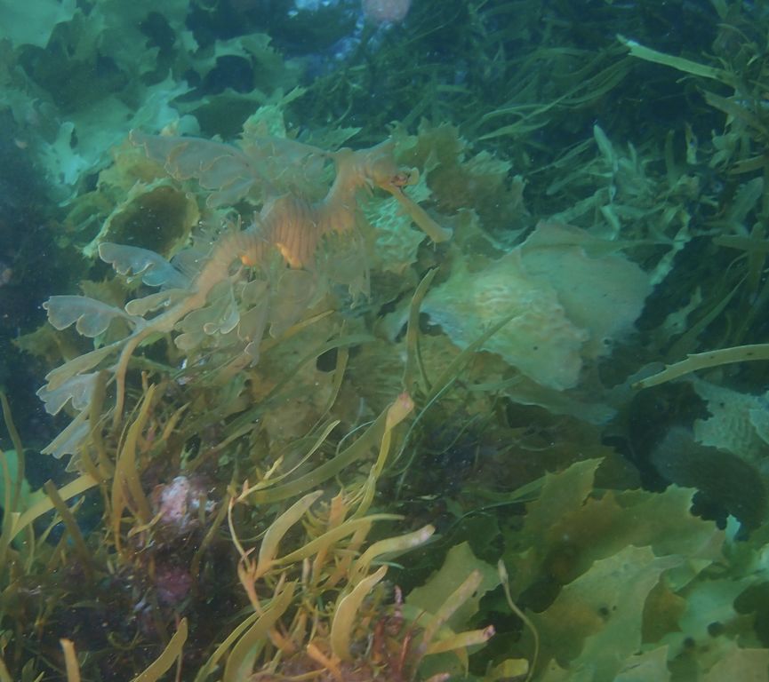 3fd6dfef-b75f-4d4f-bf22-357336471335