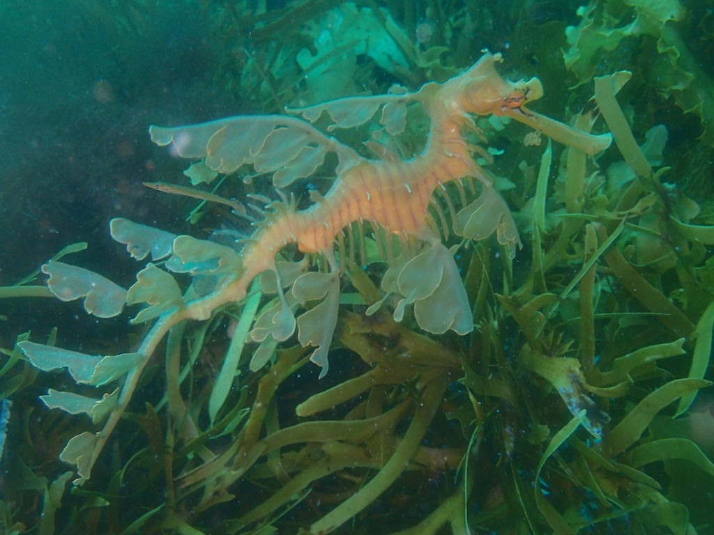 3fd6dfef-b75f-4d4f-bf22-357336471335