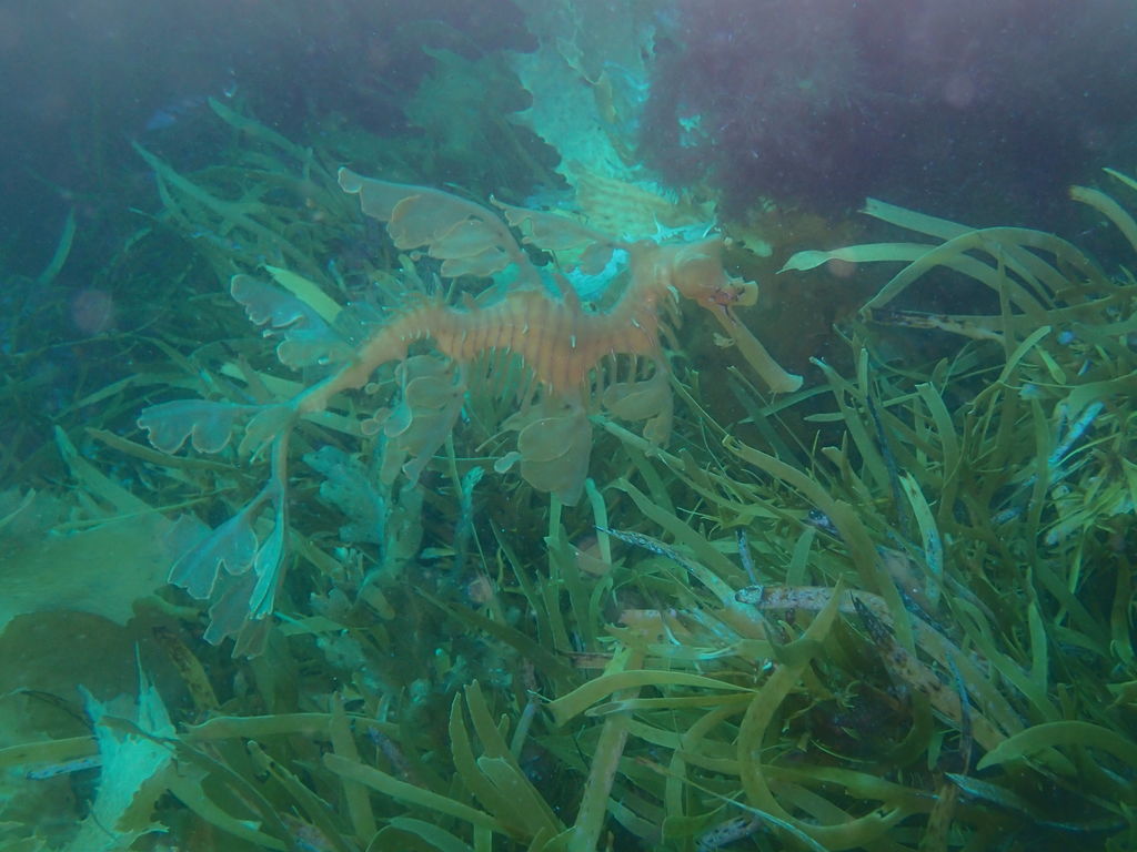 3fd6dfef-b75f-4d4f-bf22-357336471335