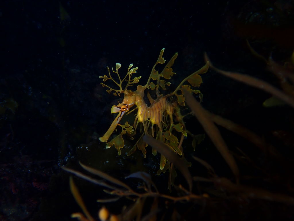 7a0f1a03-370c-4256-b021-7e7812991aec