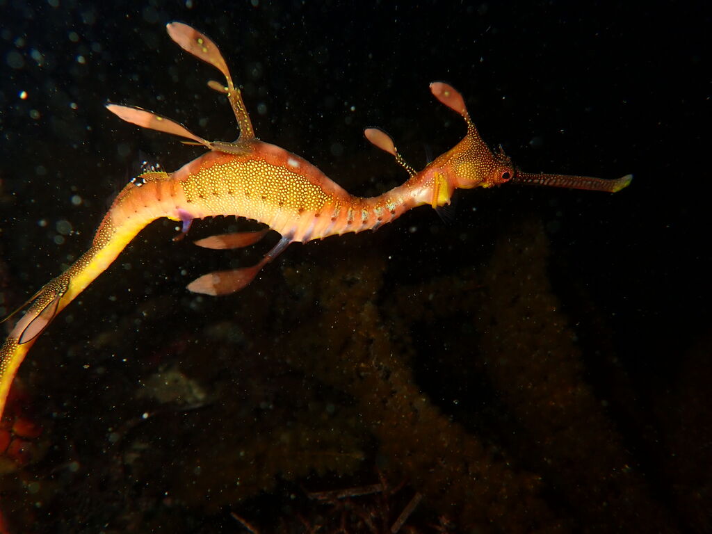 64ab5c6e-3875-4142-9bdf-e47fe808fea4