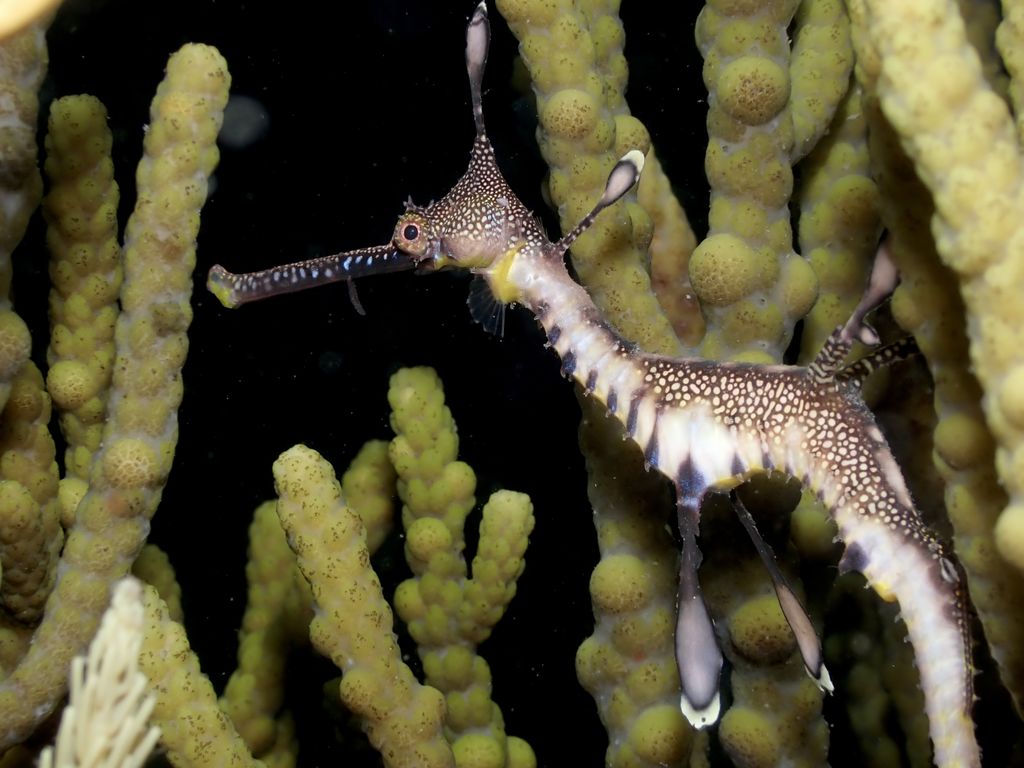 6816a473-da36-411e-b2a0-1af9365db32e