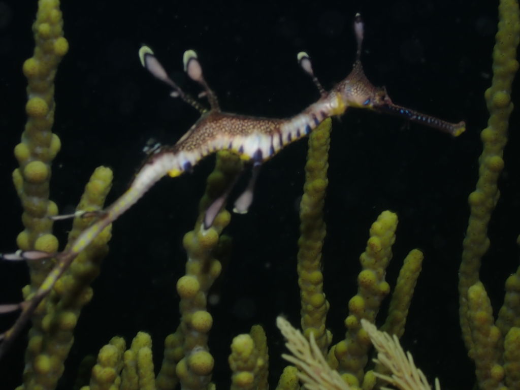 6816a473-da36-411e-b2a0-1af9365db32e