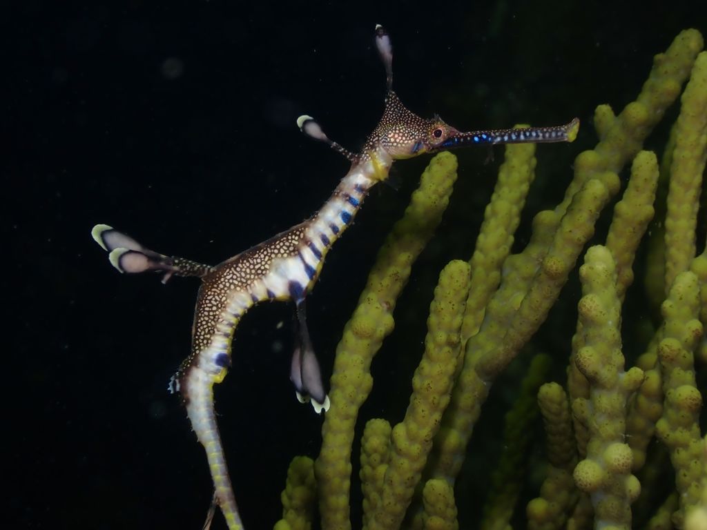 6816a473-da36-411e-b2a0-1af9365db32e