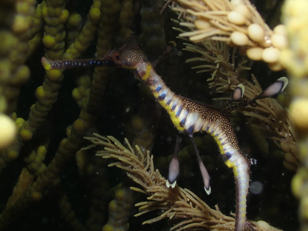 6816a473-da36-411e-b2a0-1af9365db32e