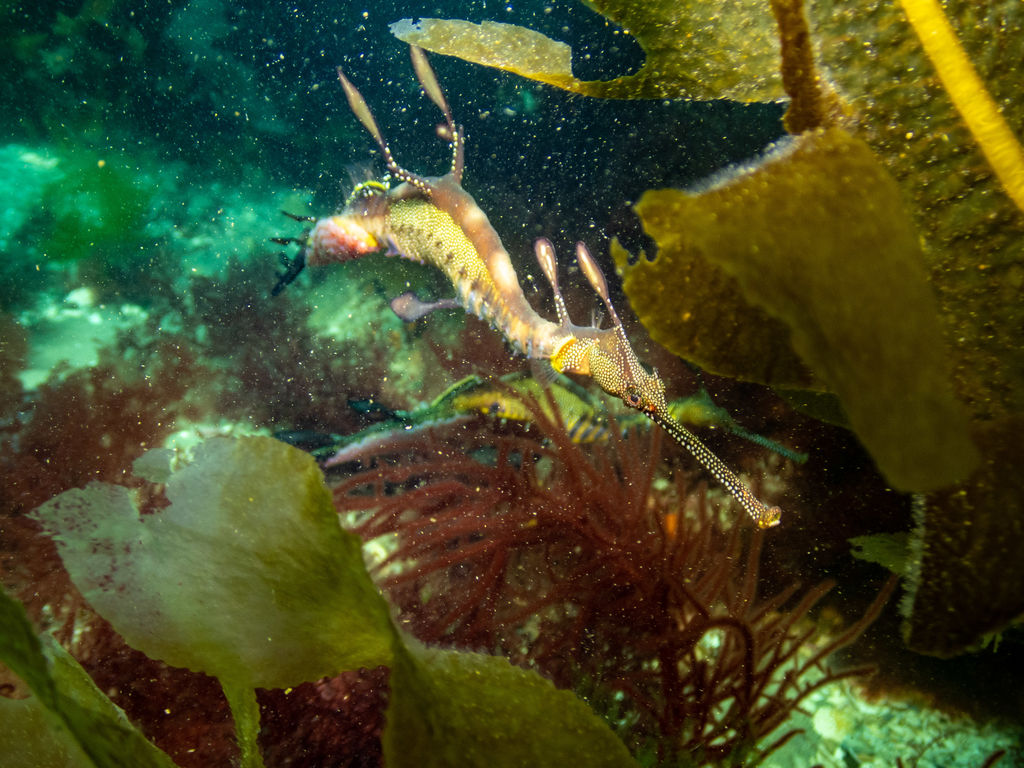 98097c42-f7c2-449a-a3cd-078448af25ae