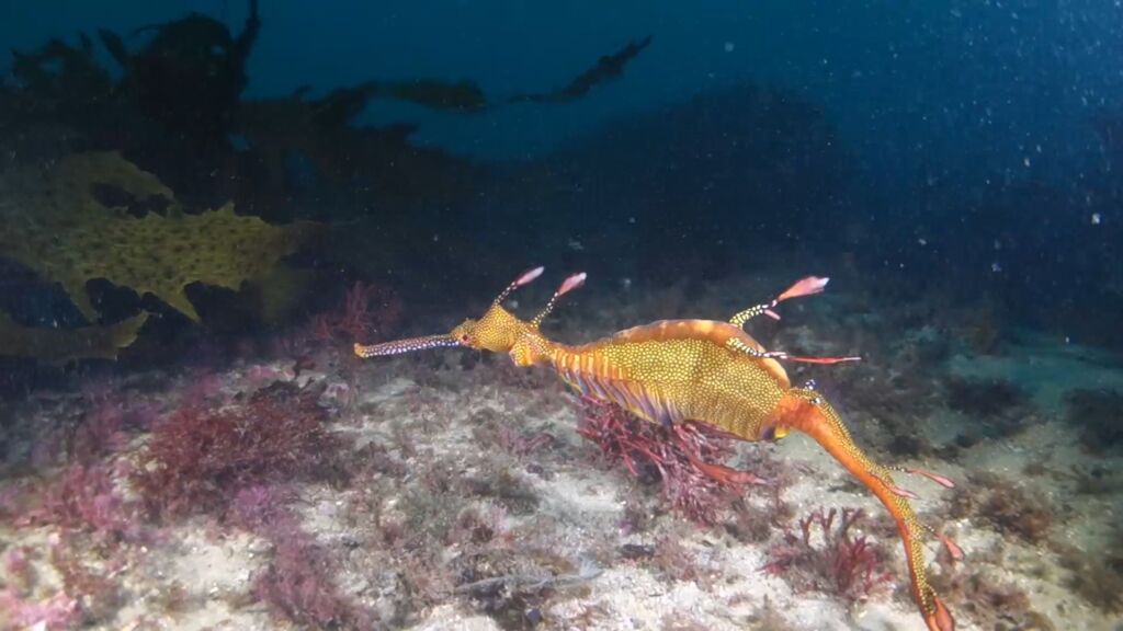 ee11f0be-fef0-4a8a-812b-72e7e8ced06b