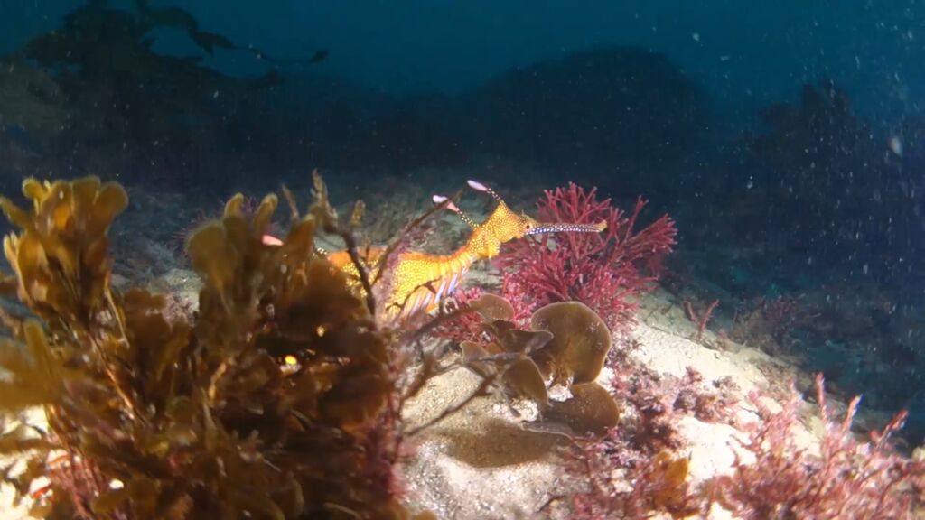 ee11f0be-fef0-4a8a-812b-72e7e8ced06b