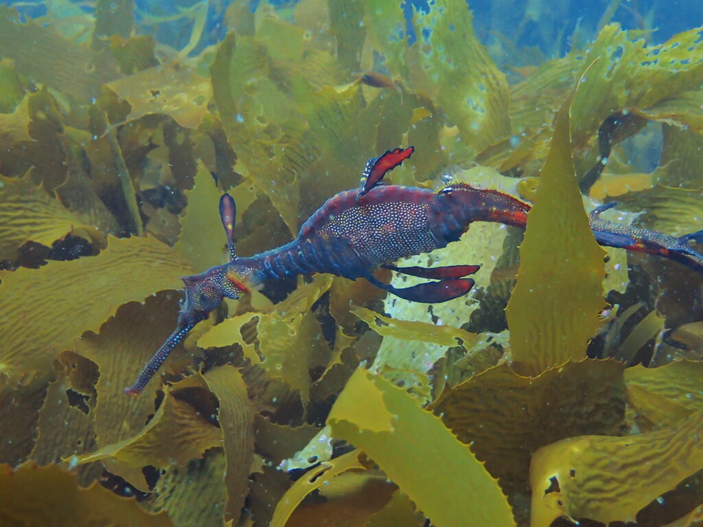 9b2f099c-cd55-4c74-a7a2-6e74a8b3c263