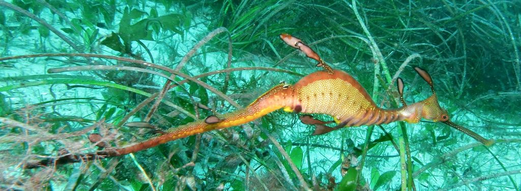 a0be91e0-428b-44a0-8daa-f3328121fcb3