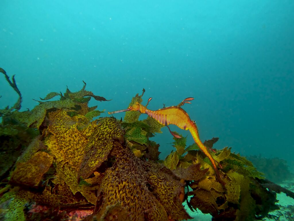 52790c8c-9764-4f24-a327-228e74837ec3