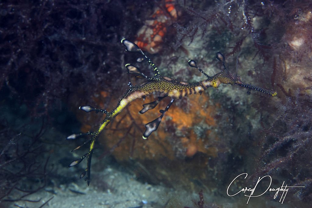 7c92f72f-56fb-49a7-83c7-7eb194b0ab2d