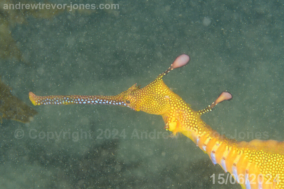 1a28984d-19ab-45fa-a2f2-6f33f8d2636e