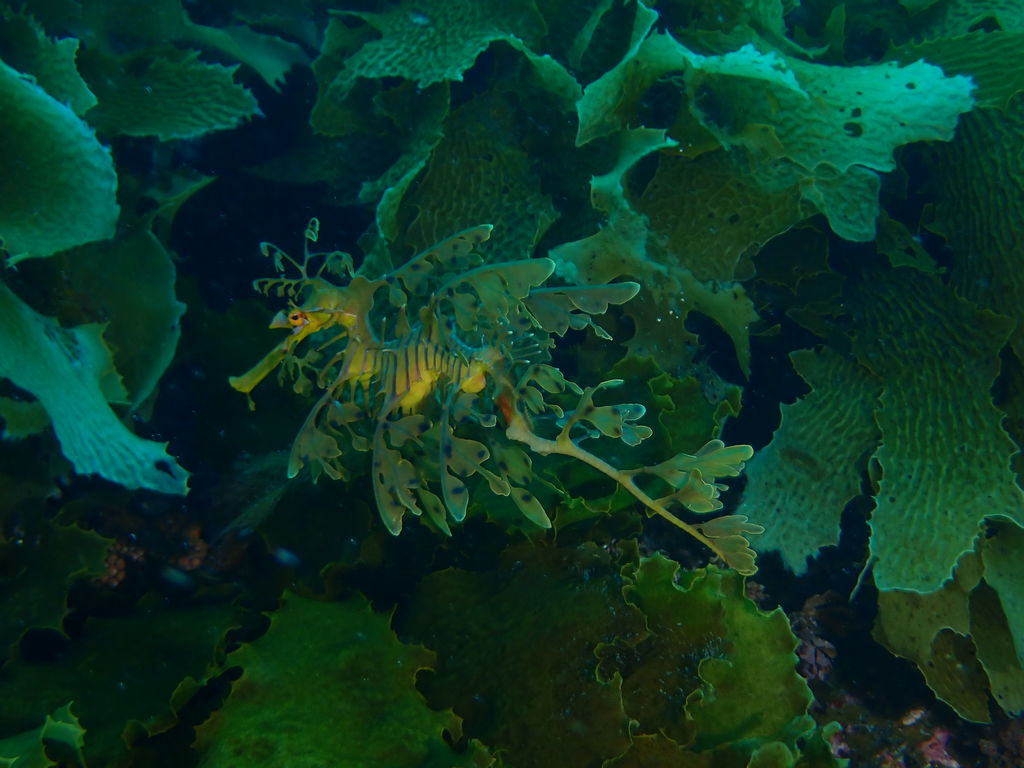 4ce4fdf4-d05b-446c-b2b4-748d9cf7d628