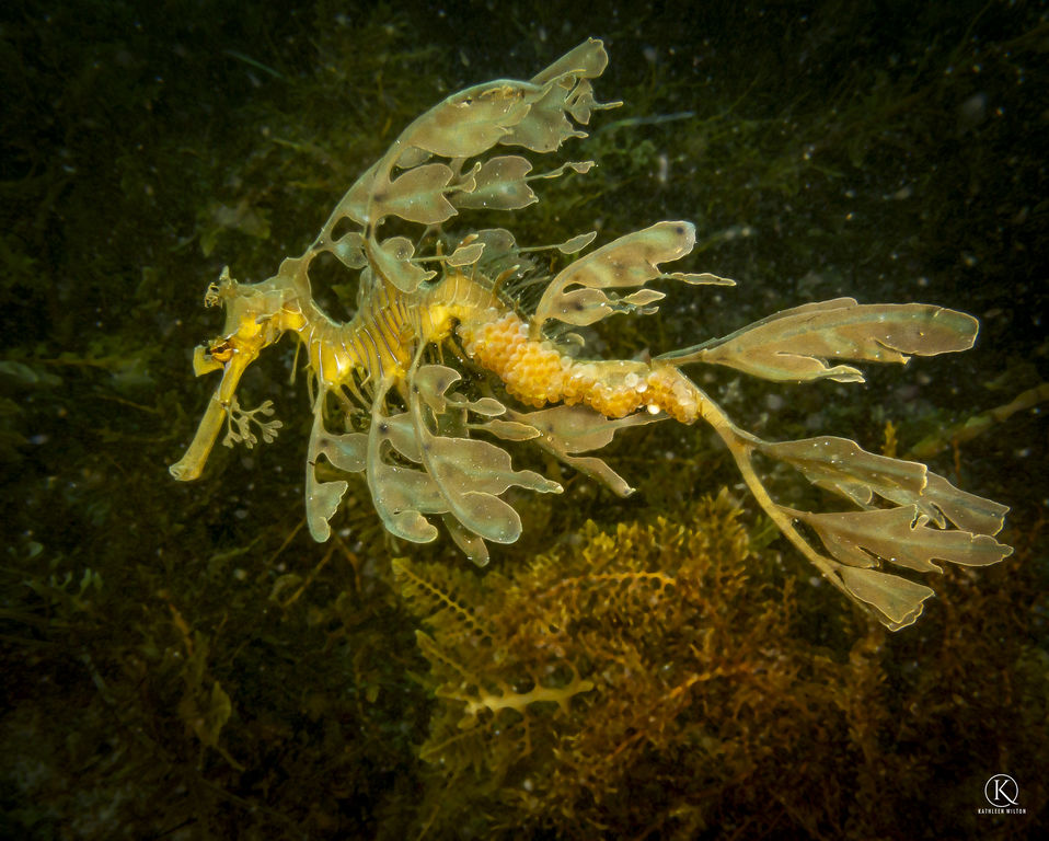 45dd198b-5305-4991-a8e9-e6e911a16f41