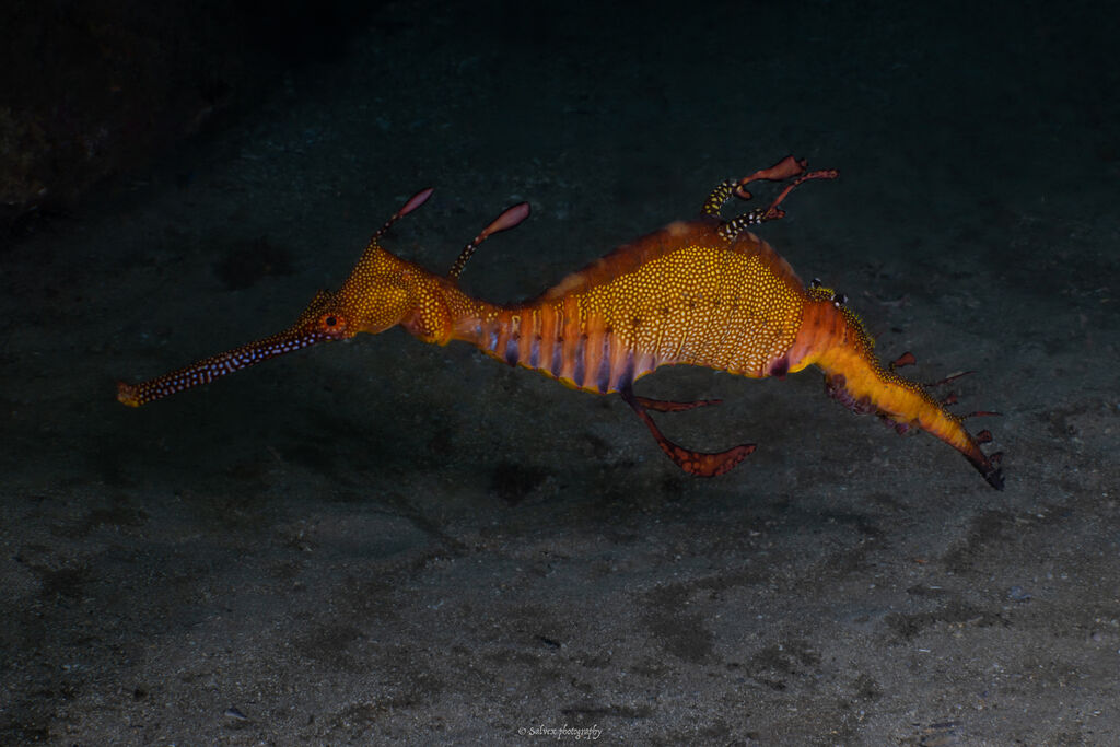 dd95959b-7e16-4a12-ae66-c6961497c6f1