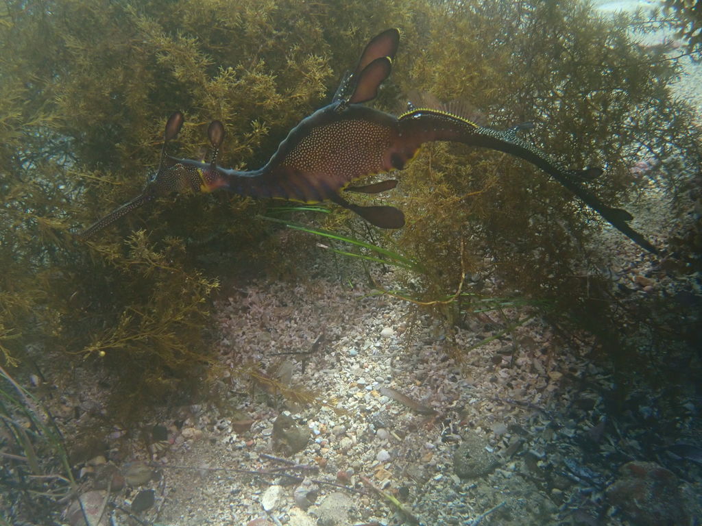 38063f36-6002-47cb-8e9d-475e58c8e54a