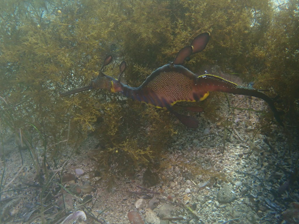 38063f36-6002-47cb-8e9d-475e58c8e54a