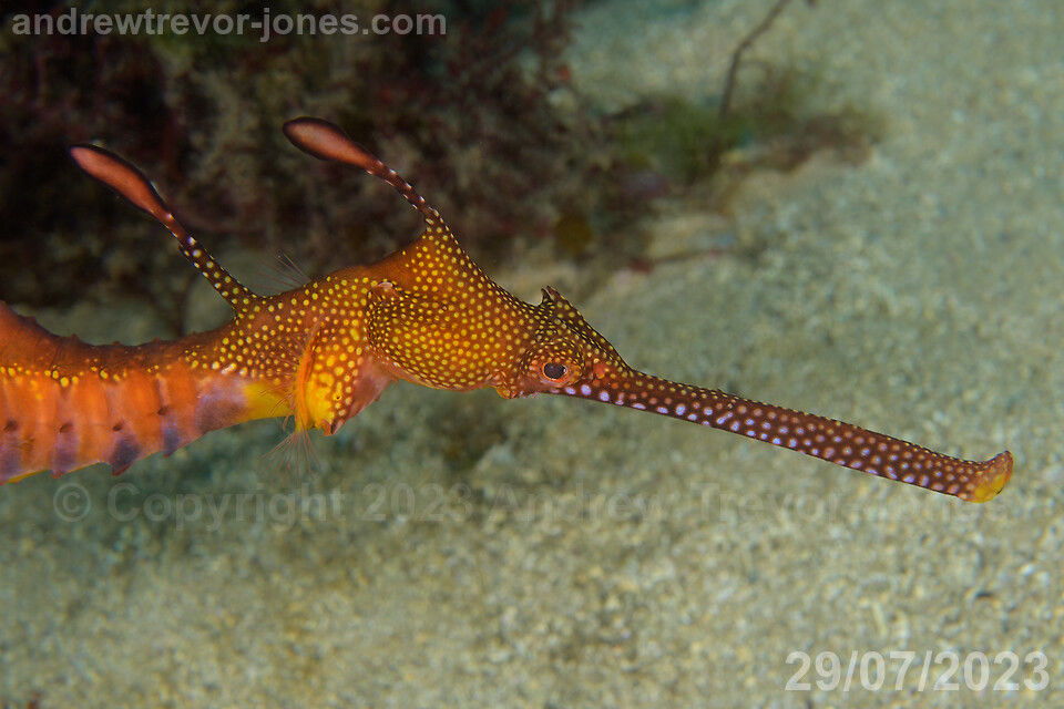 669125cb-42e5-4935-90f4-45e3039ec8a7