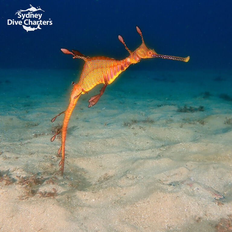 a2431045-21f5-4392-b4c1-4df5d26f9f98