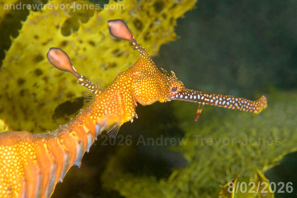 6b132964-11b6-45ca-9a98-86a0d1e4ba96