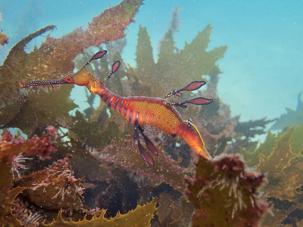 6c8c4a57-2bc8-4a92-a3bb-7e09c89ffbed