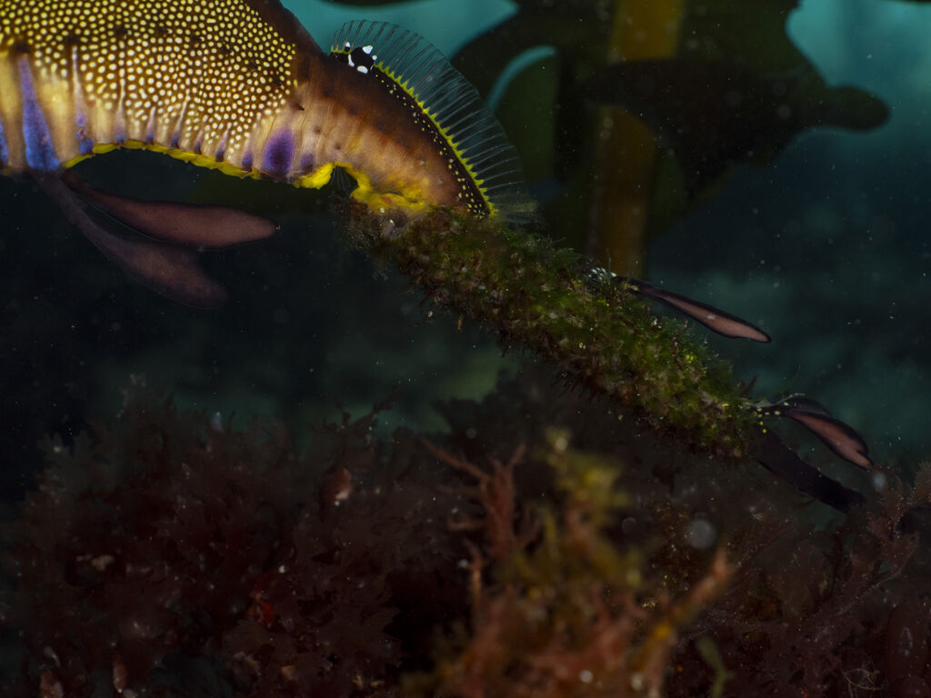 9f6c969a-97aa-425e-a7b1-f475dcdd3856