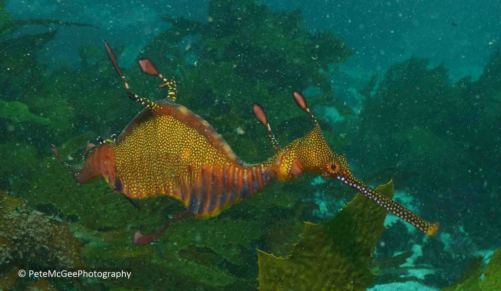 1a5175aa-8f88-447b-840c-d50a2a662e32