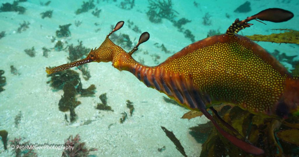 1a5175aa-8f88-447b-840c-d50a2a662e32