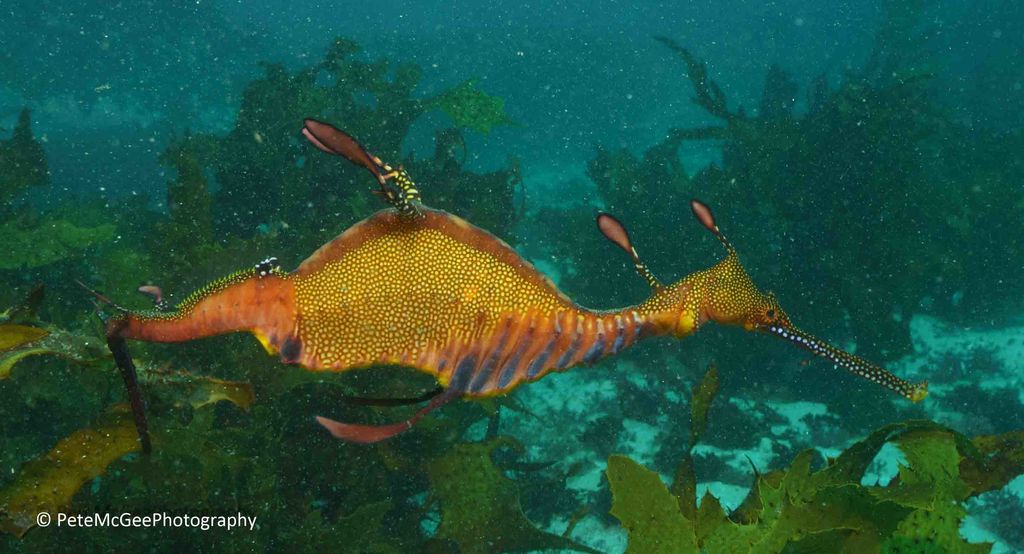 1a5175aa-8f88-447b-840c-d50a2a662e32