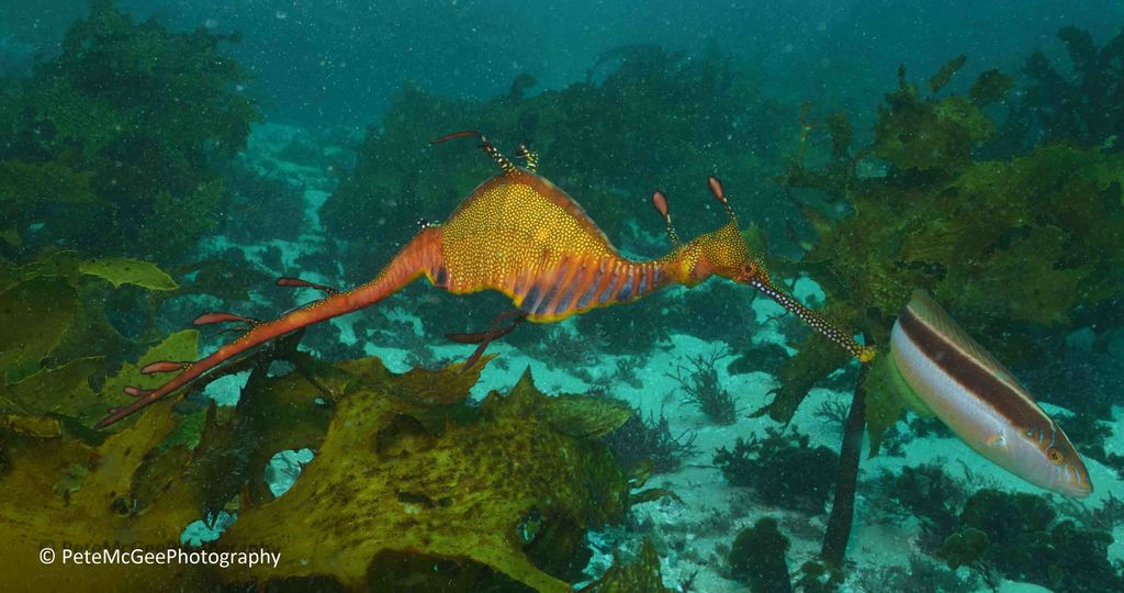 1a5175aa-8f88-447b-840c-d50a2a662e32