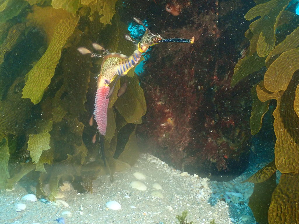 98097c42-f7c2-449a-a3cd-078448af25ae