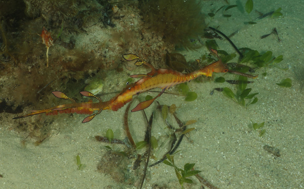 e8497e41-046b-49ed-b07c-a475c8f06299