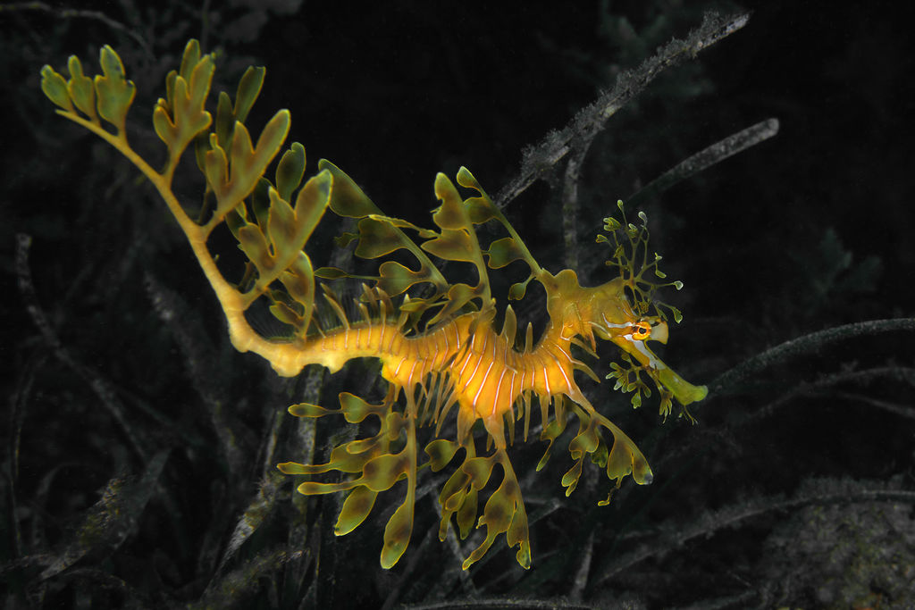 1652ac47-925b-4ae5-8ee8-aefcb7da9bf5