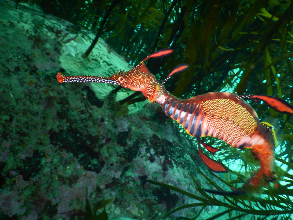 f51bf4fd-71c4-430e-9866-1407c1ab3a40